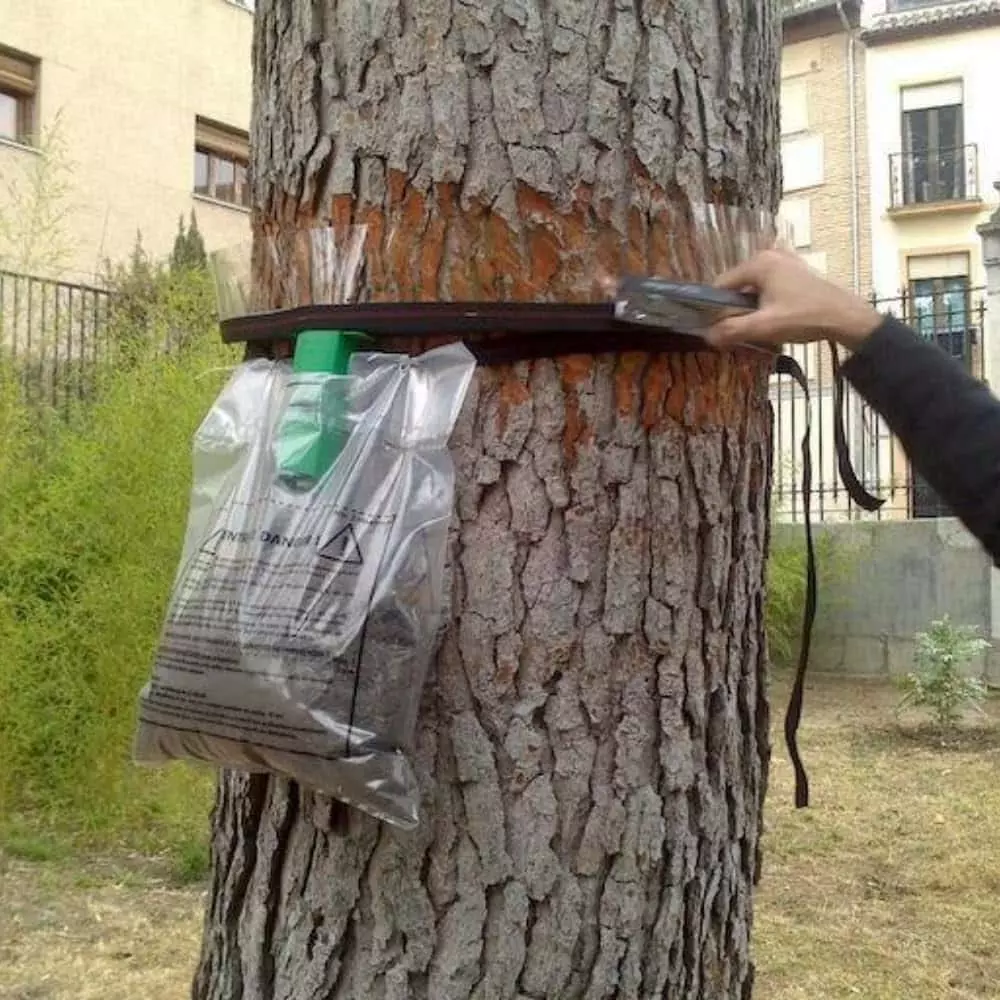 Traitement chenilles processionnaires - OmniServici