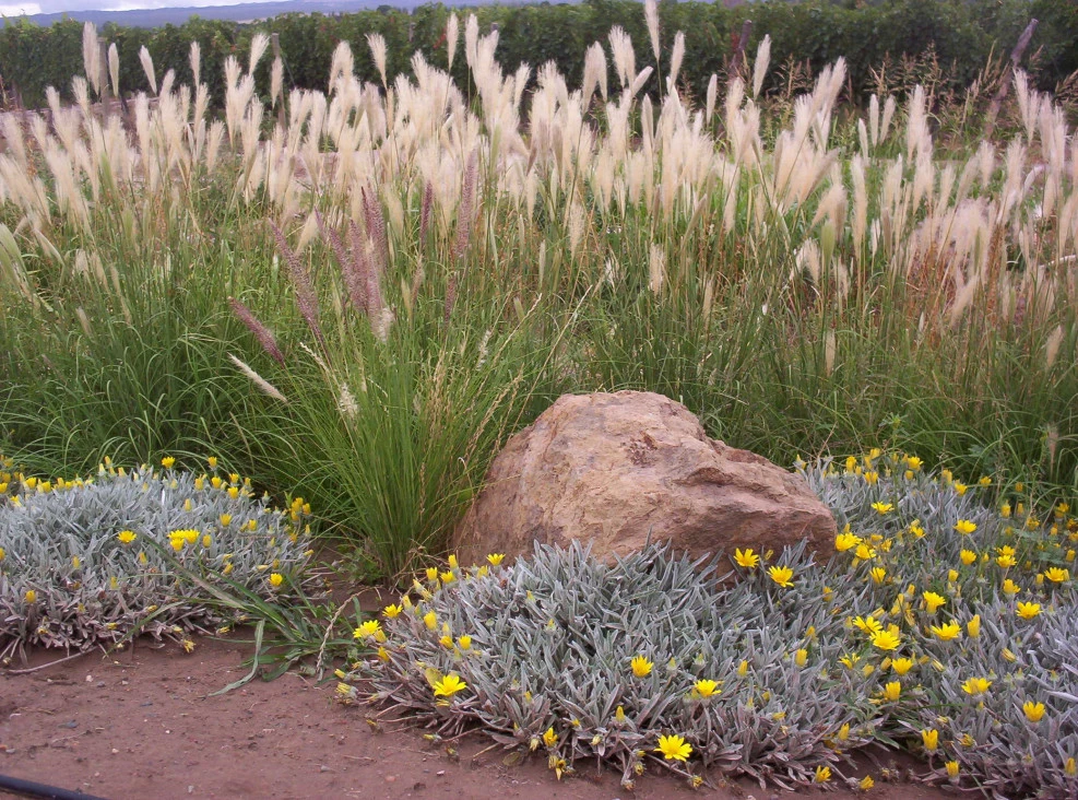 creation et entretien massif plantes vivaces Toulouse - OmniServici