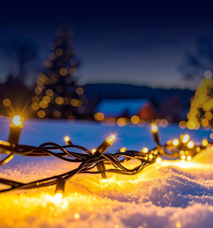 Décoration extérieur Noël 2026 : Illuminez votre jardin à Toulouse