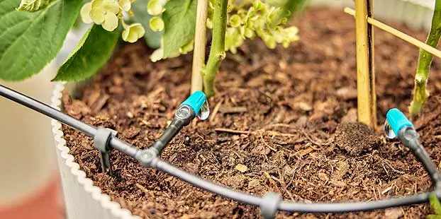 irrigation goutte a goutte - Omniservici