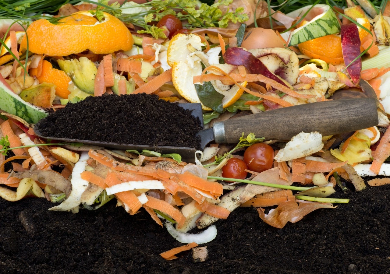 Jardin ecologique et composte - OmniServici