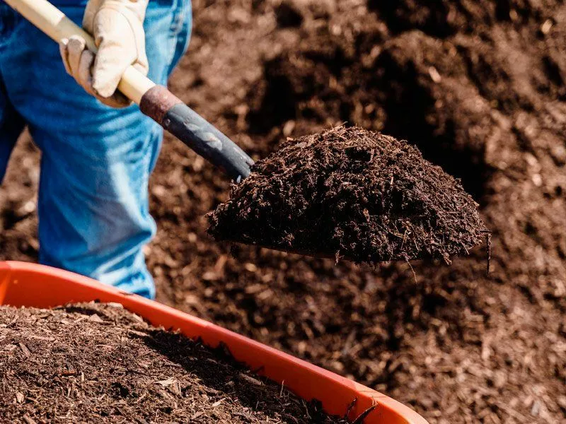 Jardin ecologique et responsable - OmniServici