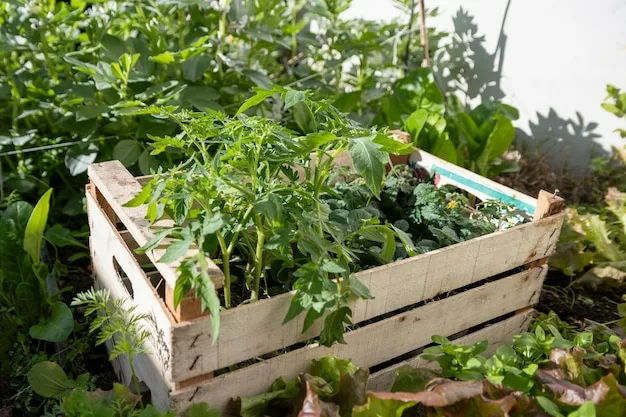 Jardin ecologique et composte - OmniServici