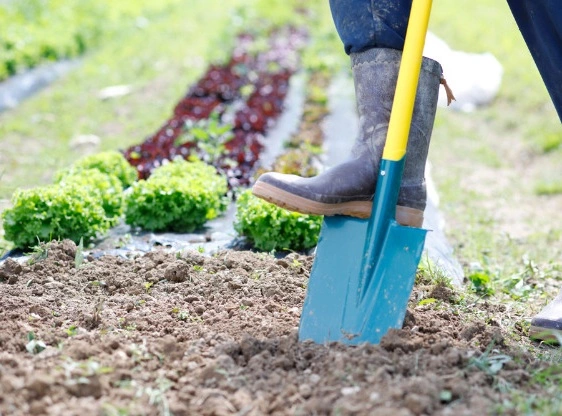 potager - Retournez la terre à la bêche  - OMNISERVICI