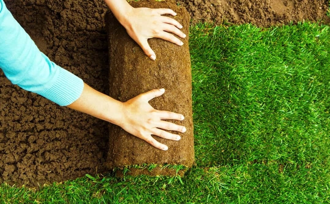 Nivellement de terrain pelouse - OmniServici