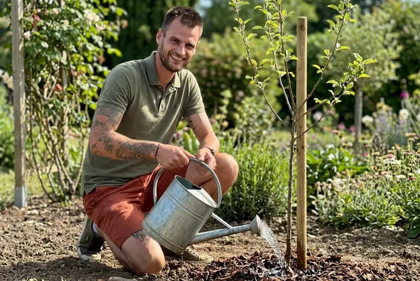 PLANTATION ARBRES ET ARBUSTES Tournefeuille - OMNISERVICI