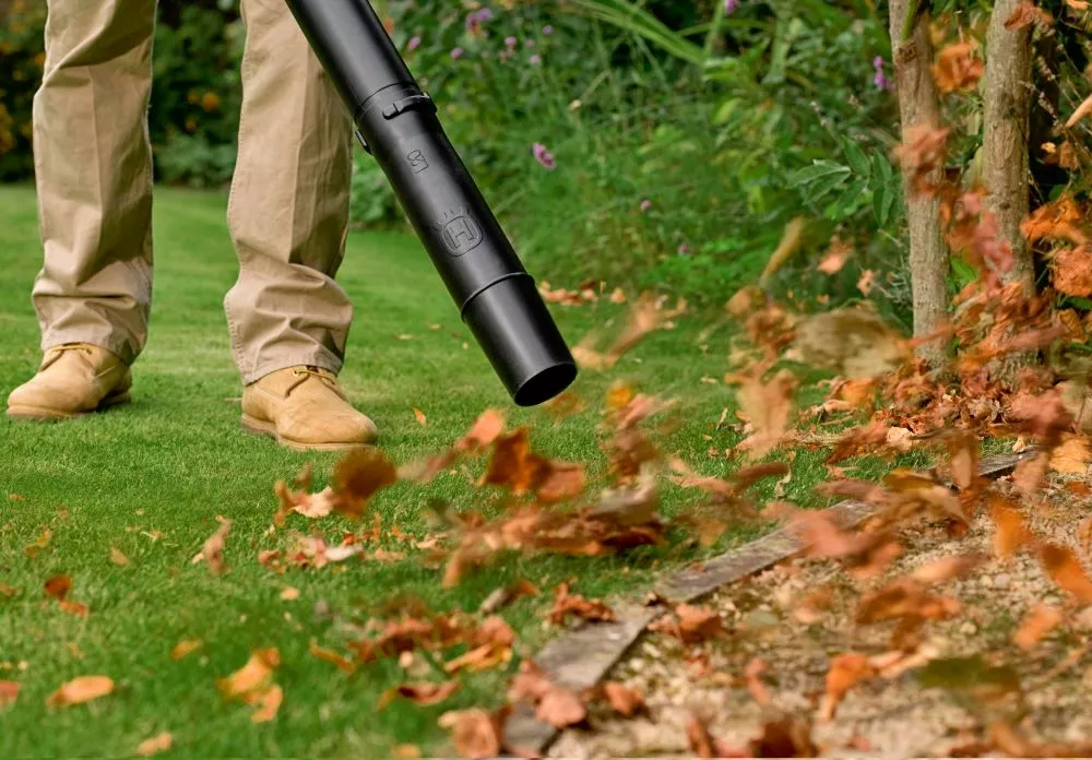 Ramasser les feuilles mortes - OmniServici