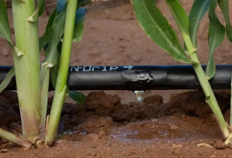 Goutte-a-goutte jardin - OmniServici