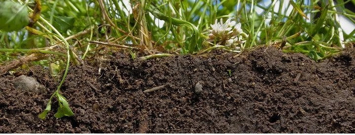 Texture et  structure du sol - Omniservici