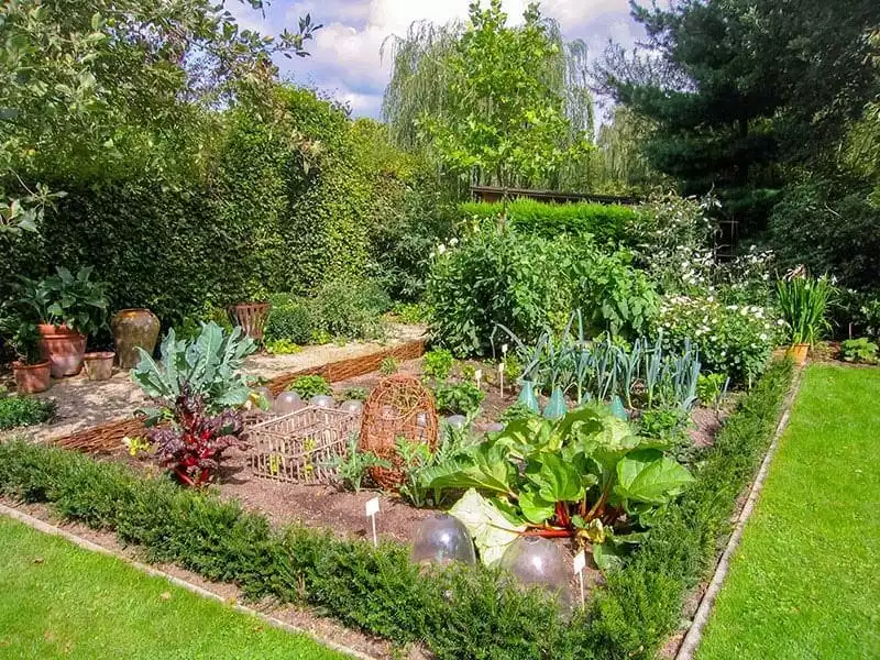 JARDIN POTAGER CONSEILS - OMNISERVICI
