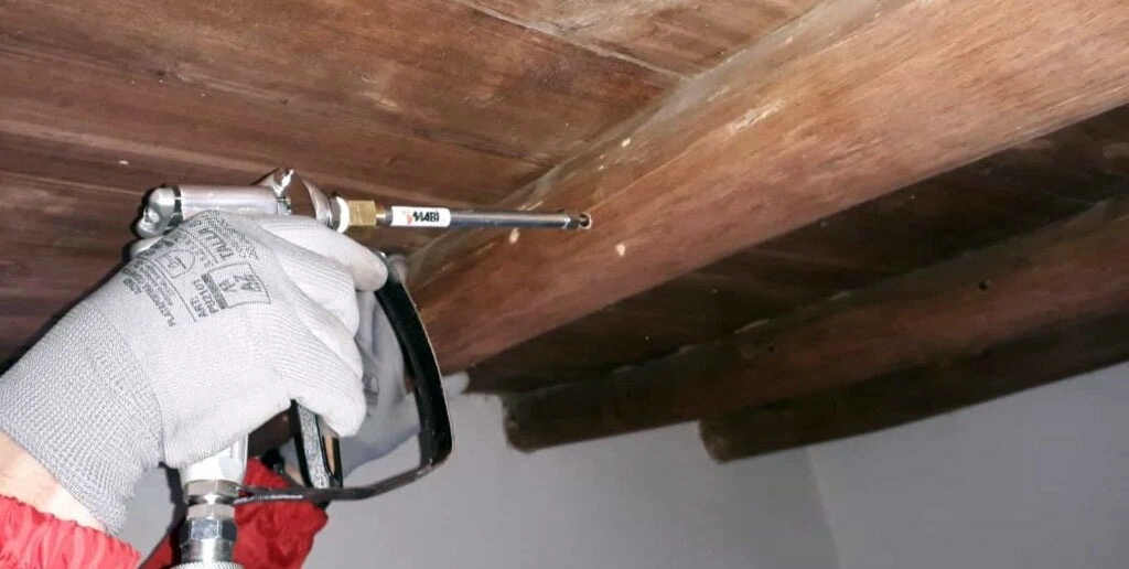 Traitements insectes xylophages - OmniServici