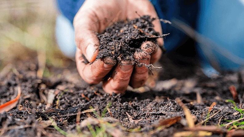 Traitements naturels pour jardins et plantes - OMNISERVICI