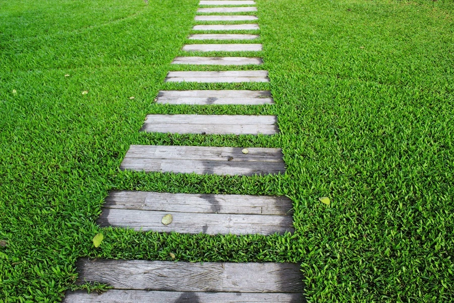 belle pelouse 2 - OMNISERVICI