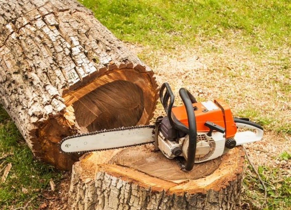 elagage et abattage arbres - OMNISERVICI