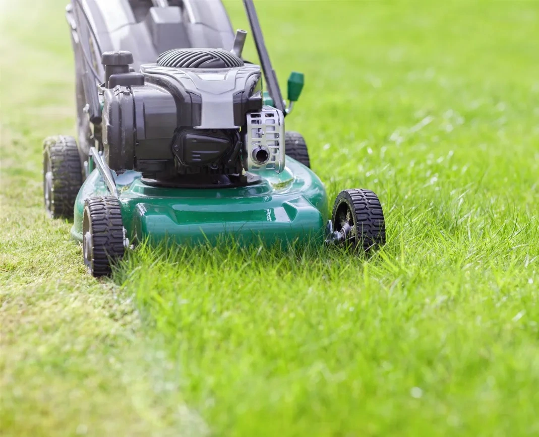 Entretien des Espaces Verts collectivites - OMNISERVICI