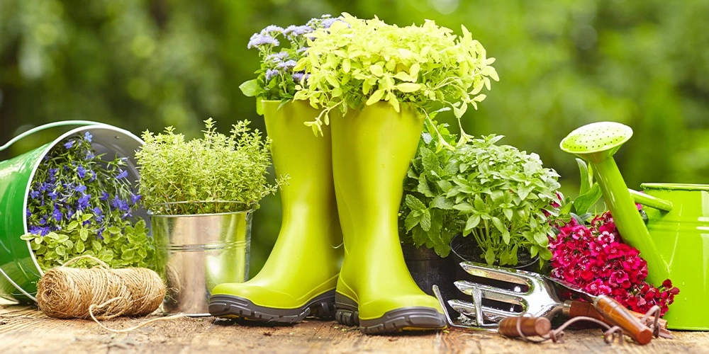 entretien saisons conseils  - OMNISERVICI