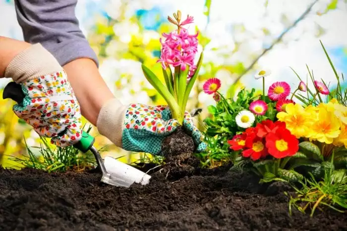 Guide d'entretien de jardin pour le printemps 1 - OMNISERVICI