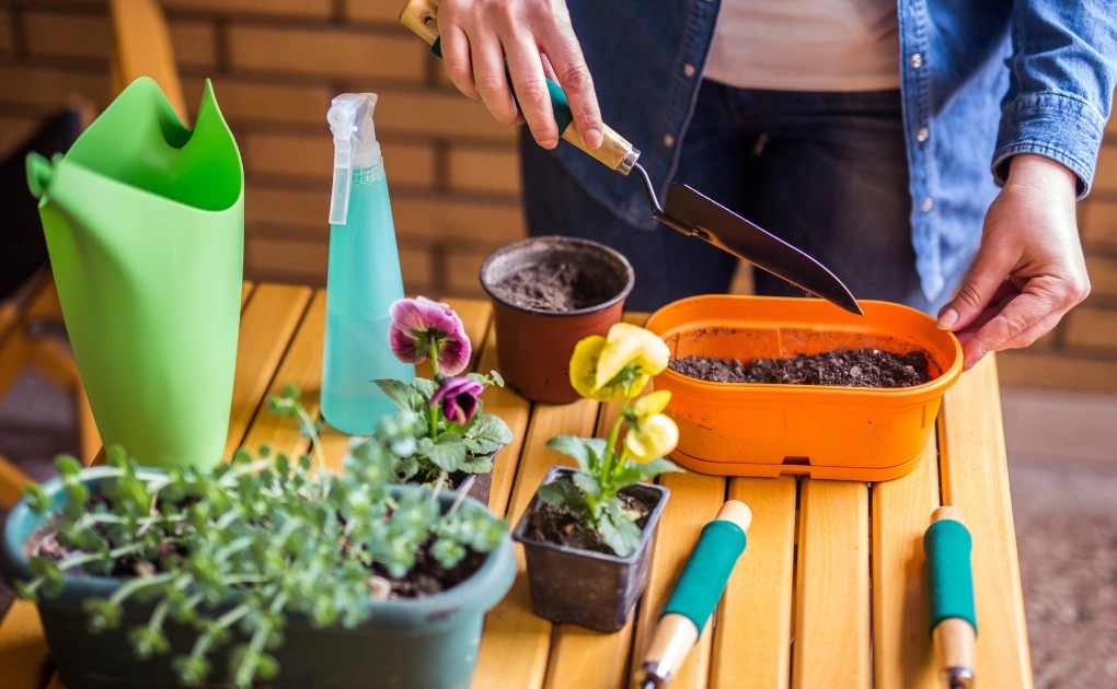 Guide d'entretien de jardin pour le printemps 2 - OMNISERVICI