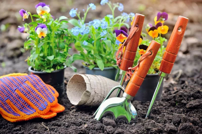Guide d'entretien de jardin pour le printemps 3 - OMNISERVICI