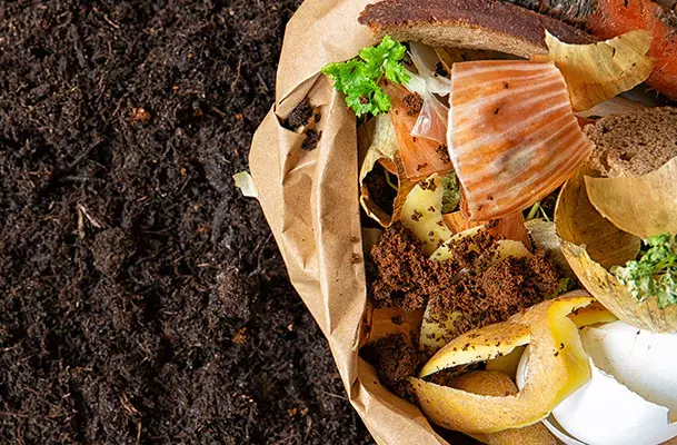 Guide entretien de jardin pour automne 4 - OMNISERVICI