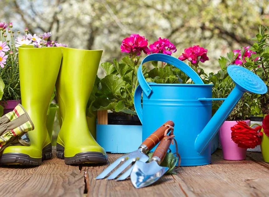 Guide entretien de jardin pour automne 8 - OMNISERVICI