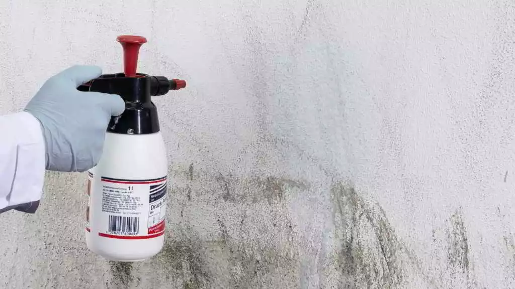 Nettoyage de murs 3 - OMNISERVICI