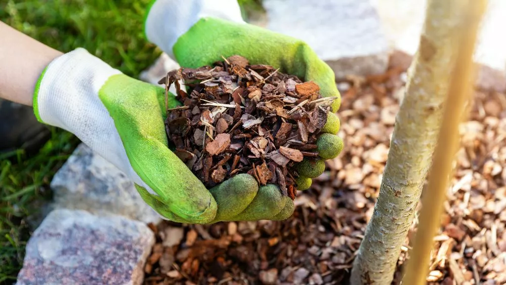 Paillage jardins en hiver 2 - OMNISERVICI