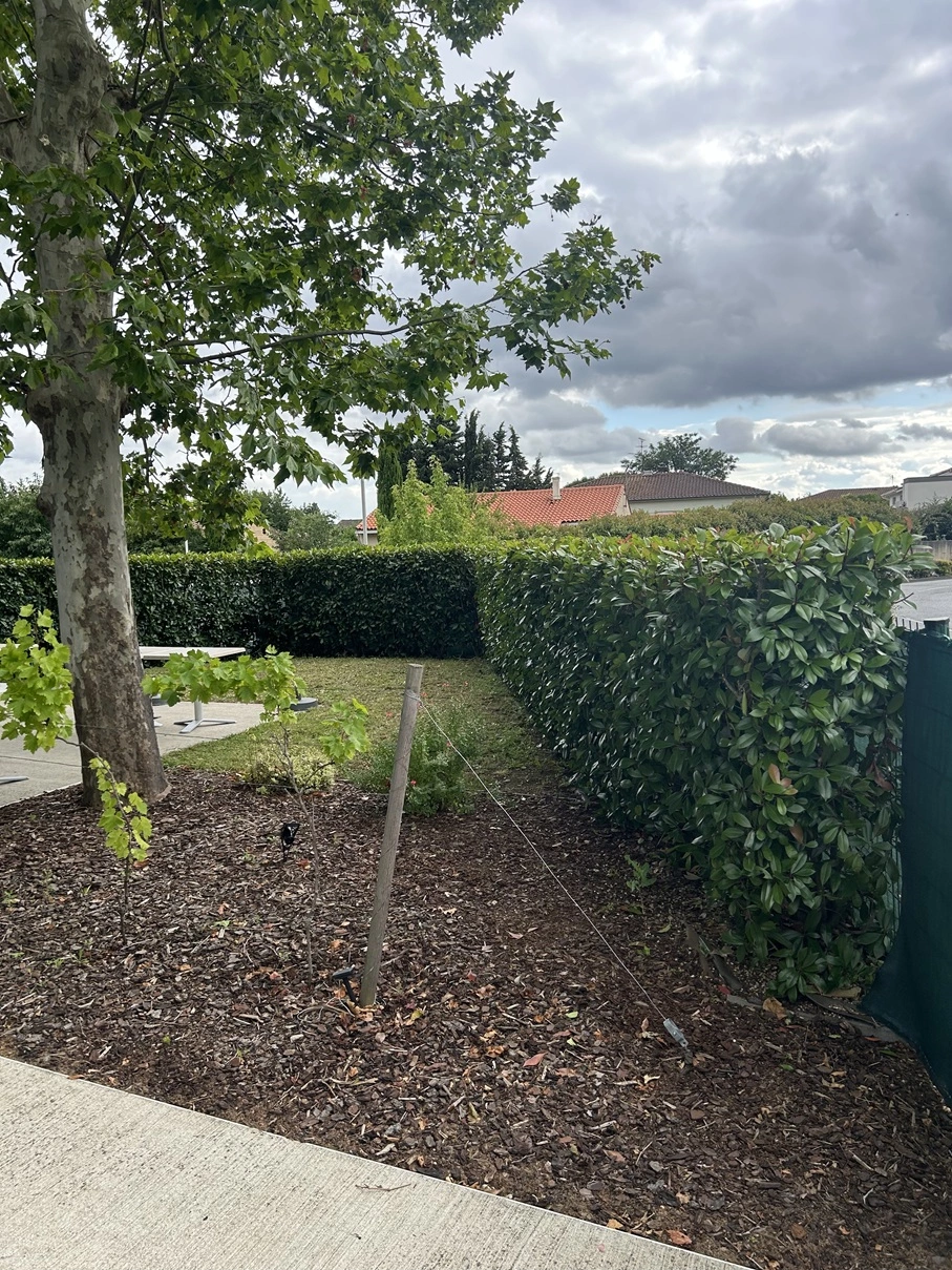 Après taille de haie terrasse restaurant à Tournefeuille
