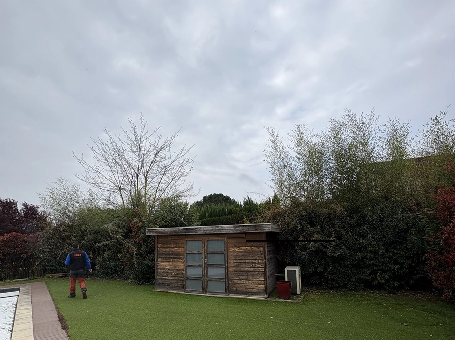 Avant taille de haies jardin à Seilh - OMNISERVICI