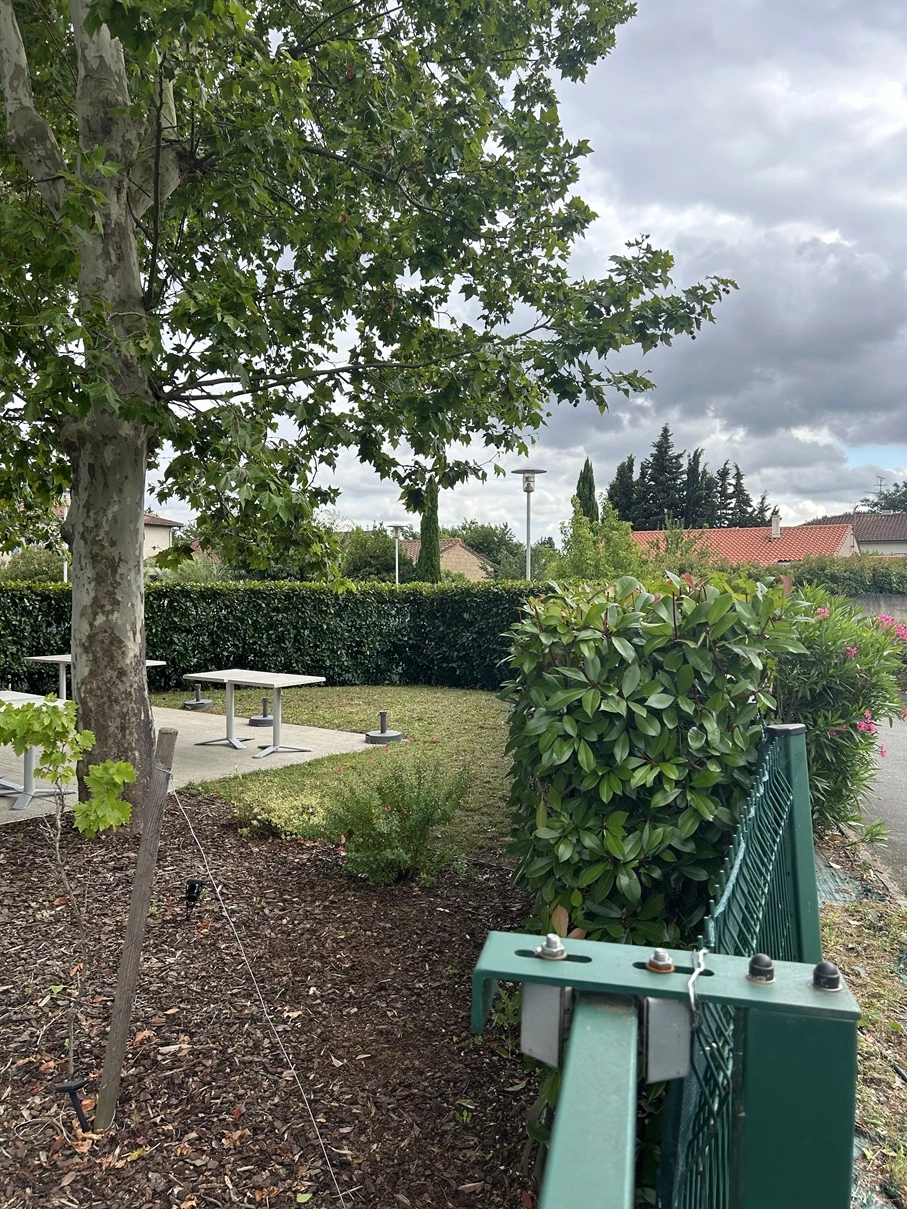Après taille de haie terrasse restaurant à Tournefeuille