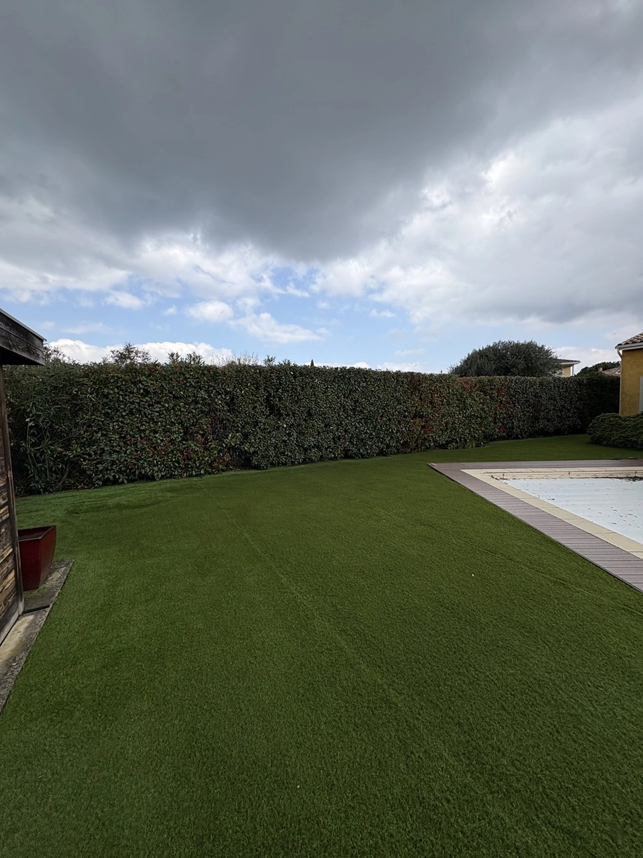 Après taille de haies jardin à Seilh - OMNISERVICI