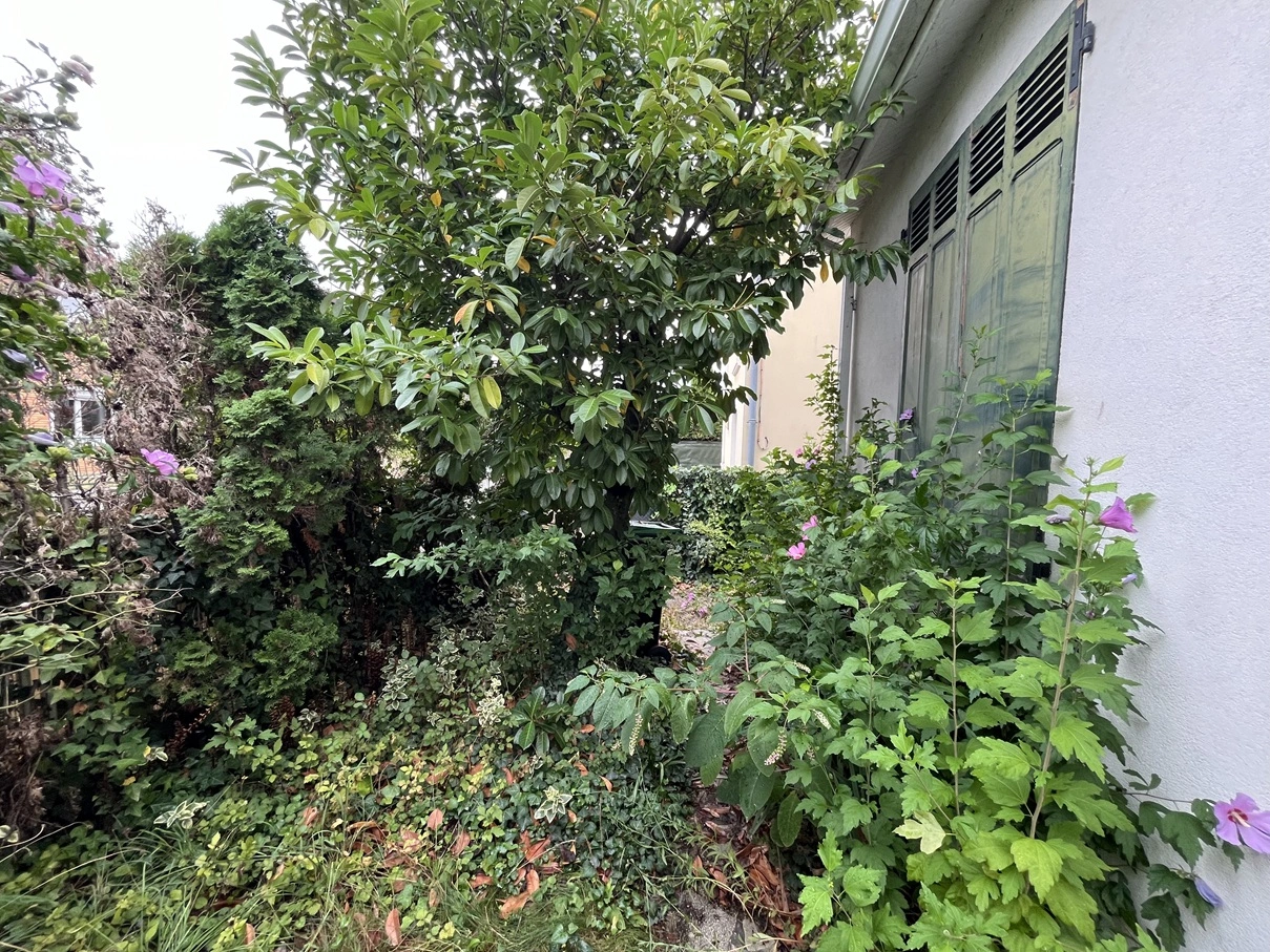Avant remise au propre d'un jardin à Toulouse