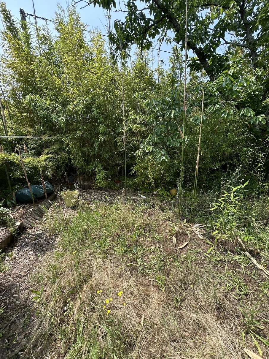 Avant remise au propre jardin à Cugnaux