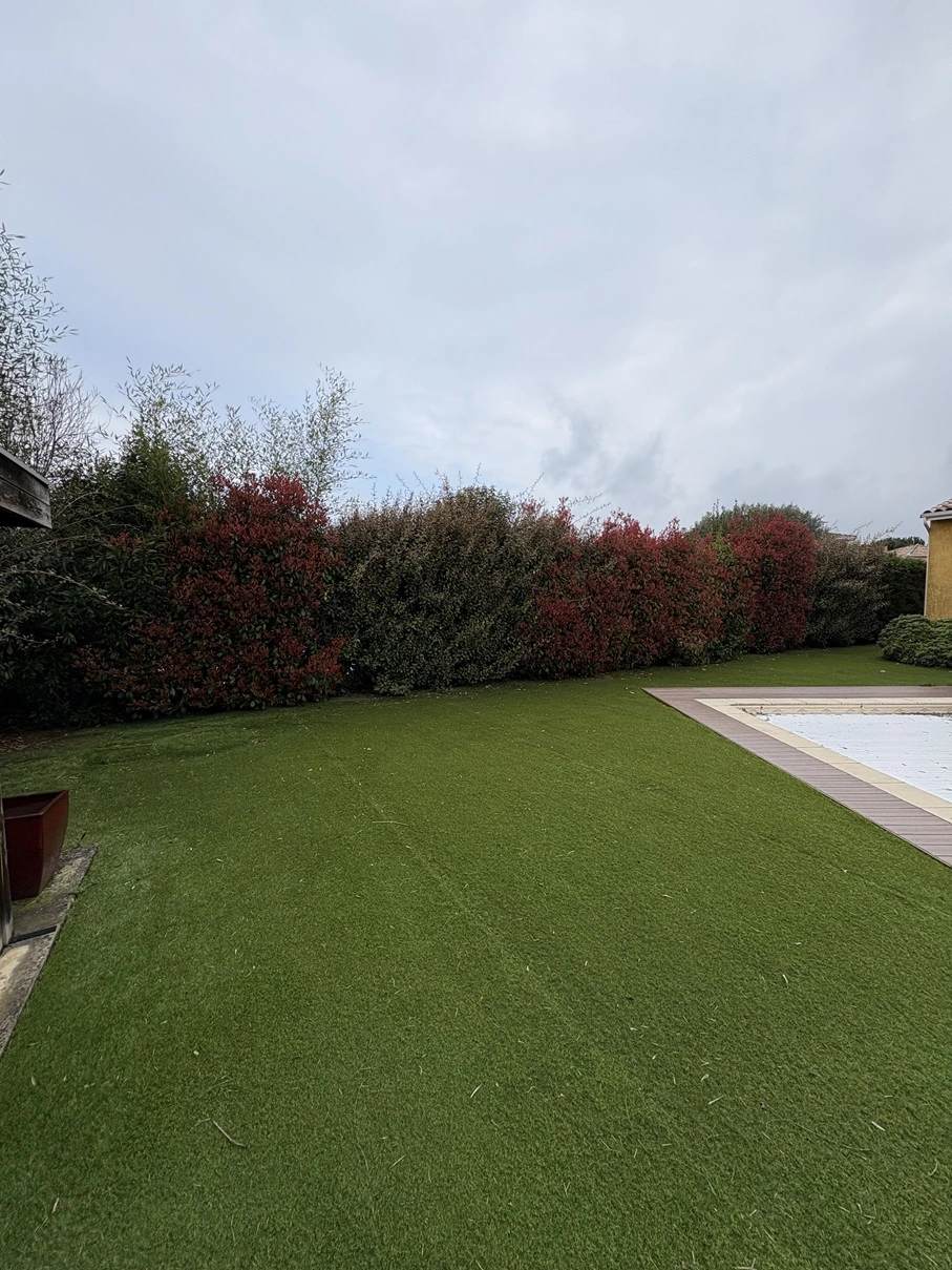 Avant taille de haies jardin à Seilh - OMNISERVICI