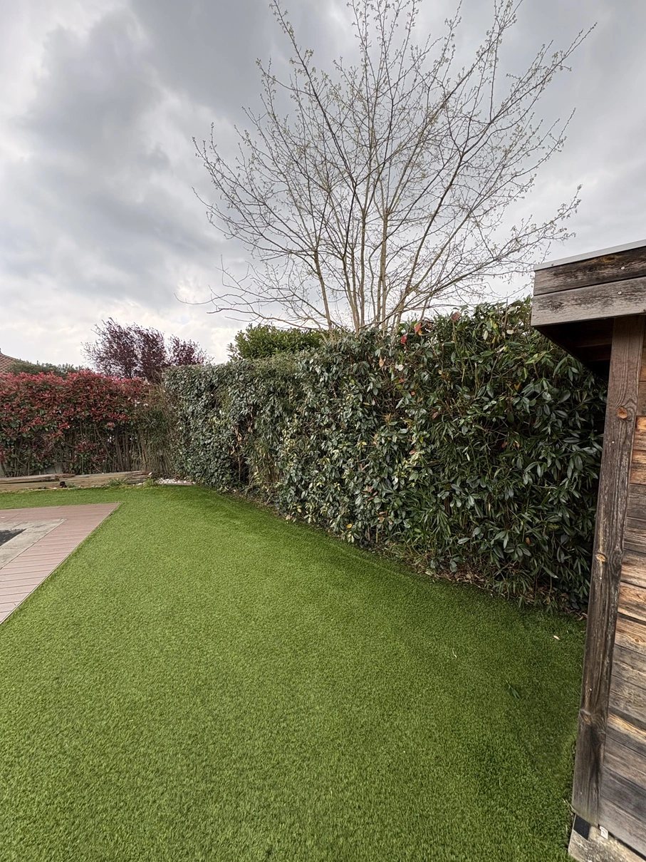 Après taille de haies jardin à Seilh - OMNISERVICI