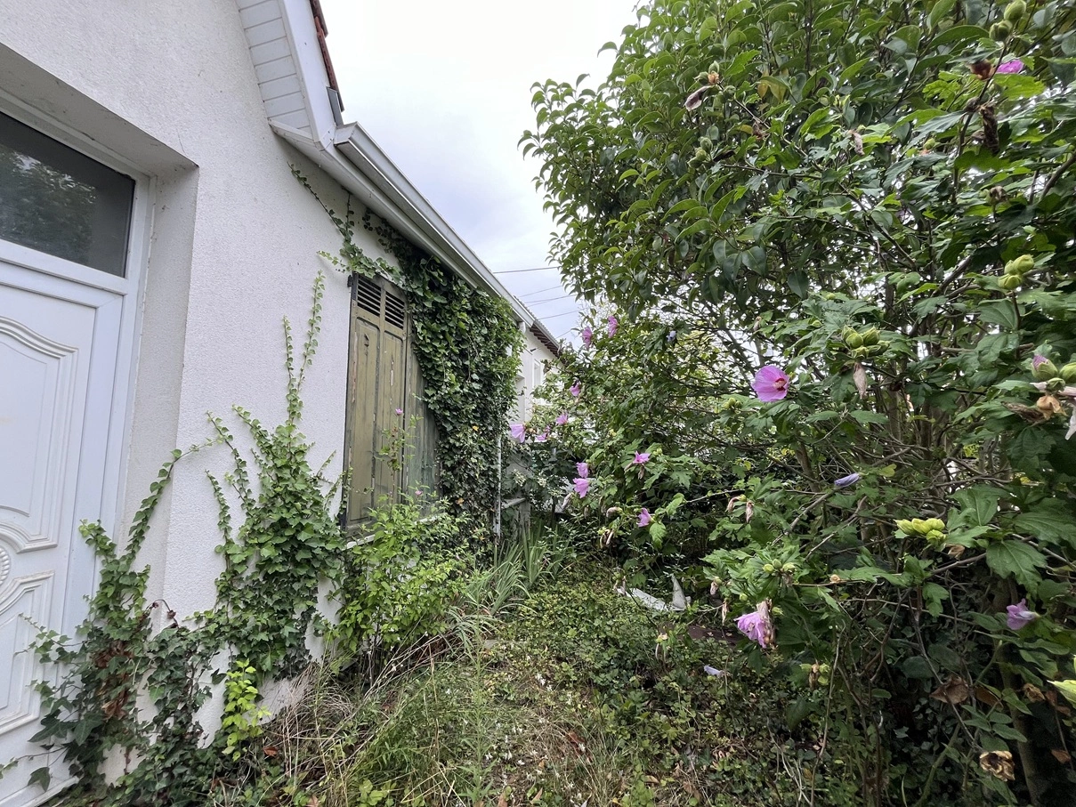 Avant remise au propre d'un jardin à Toulouse