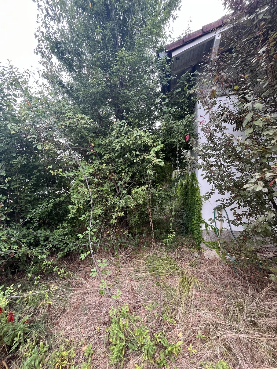 Avant remise au propre des abords d'une villa à Balma