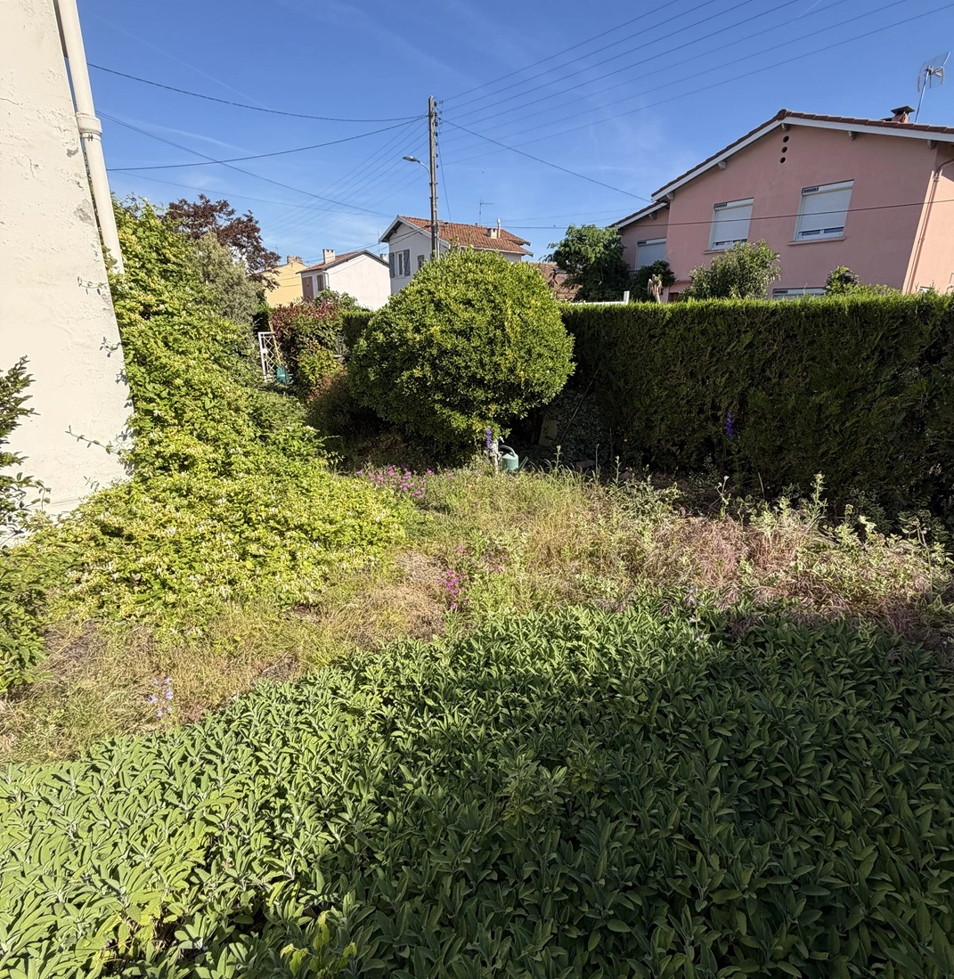 De la friche au jardin nettoyé - Avant les travaux - OmniServici