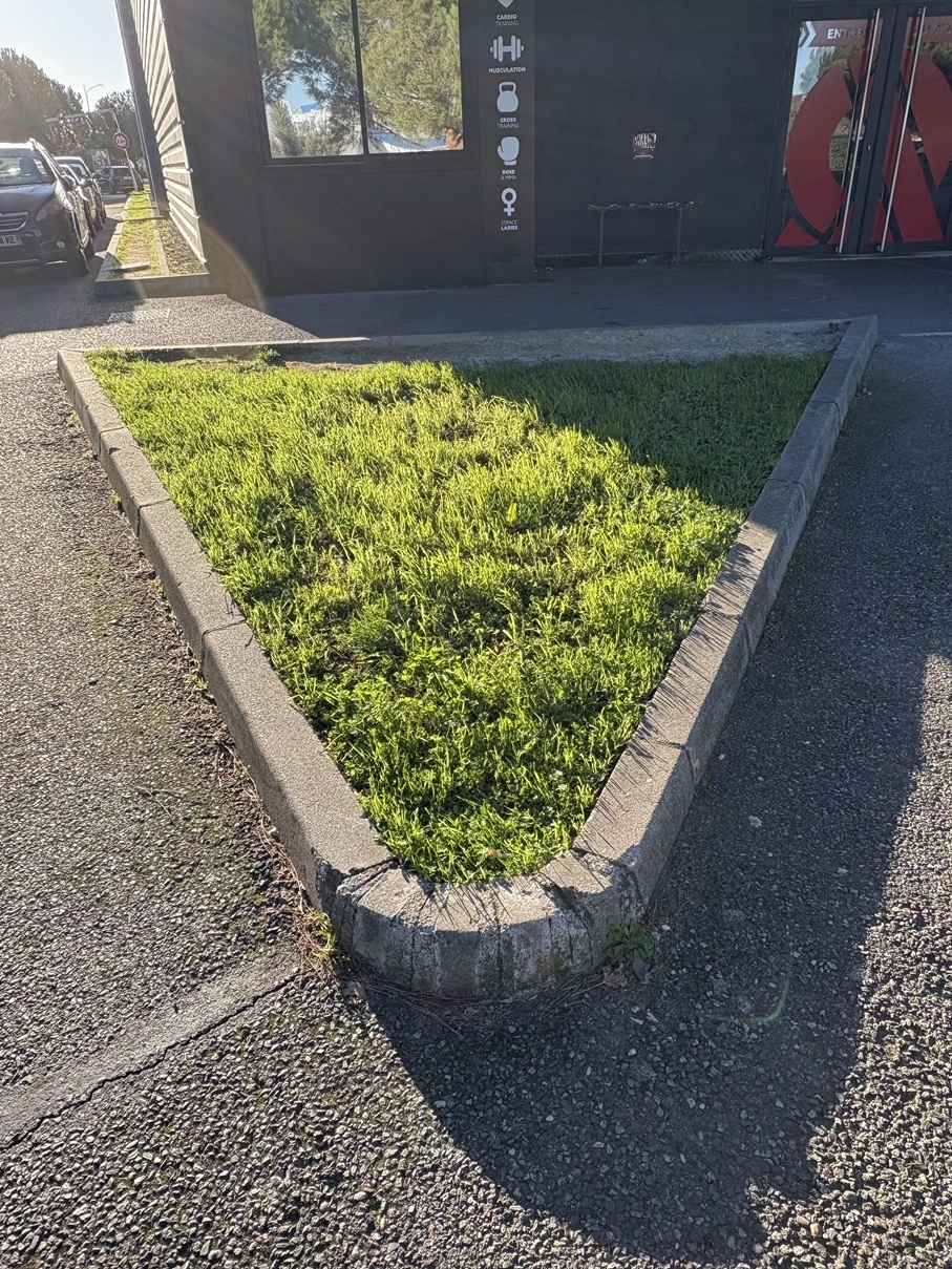 Pose de gravier stabilise blanc a Blagnac 31 - OmniServici