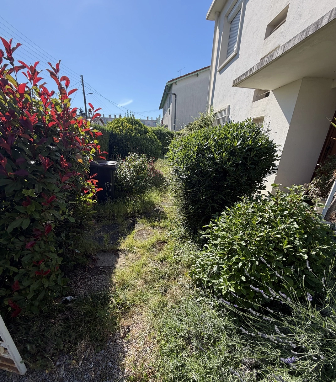 Réfection jardin ancien - Avant travaux - Omniservici