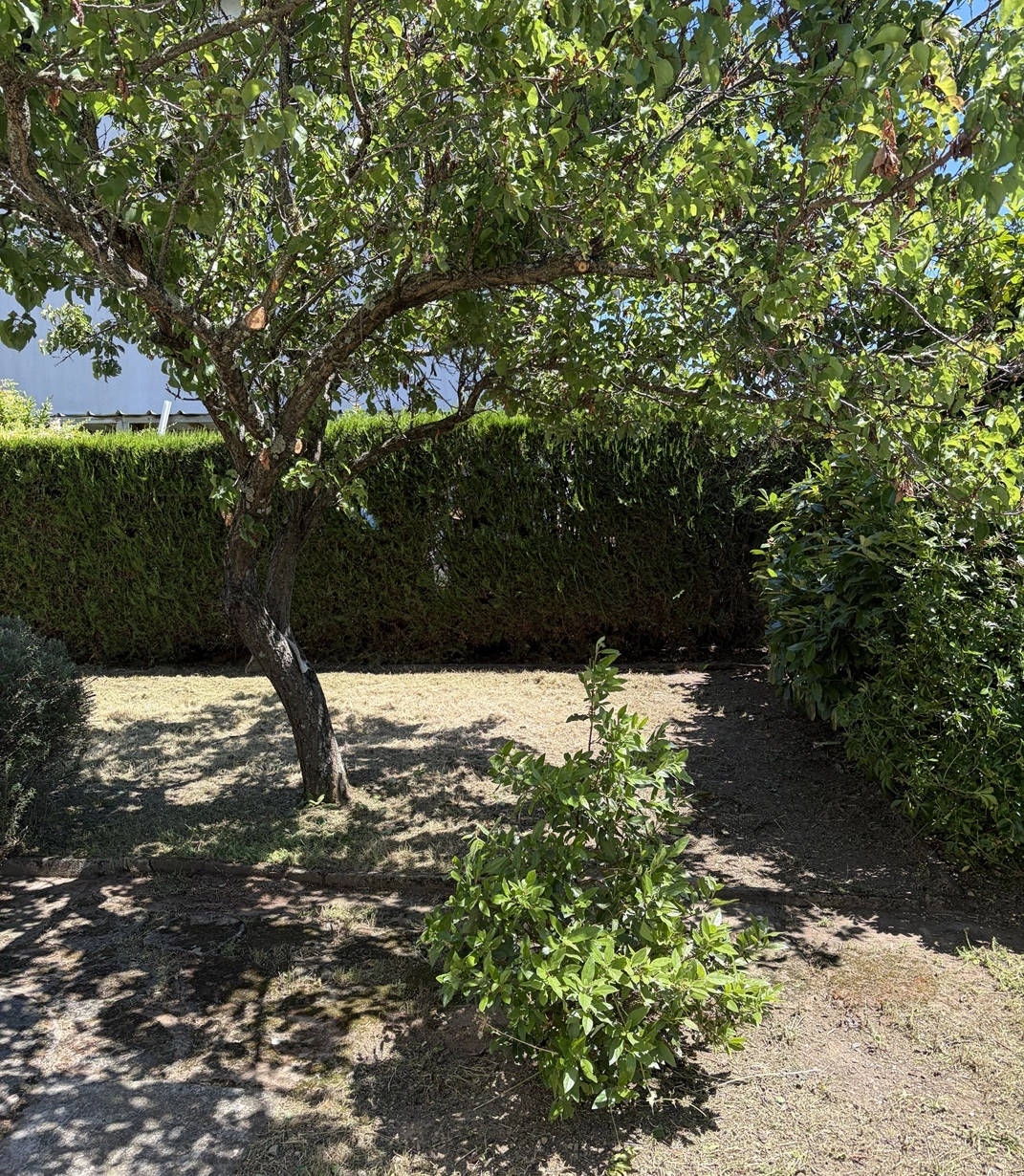 Réfection jardin toulousain ancien - Après travaux - Omniservici