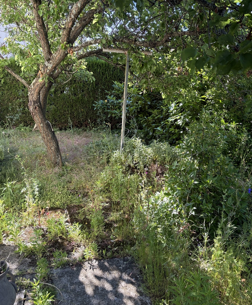 Réfection jardin toulousain ancien - Avant travaux - Omniservici