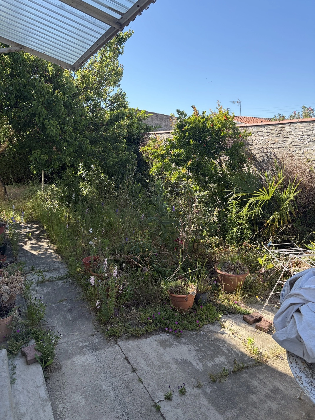 Réfection jardin ancien - Avant travaux - Omniservici