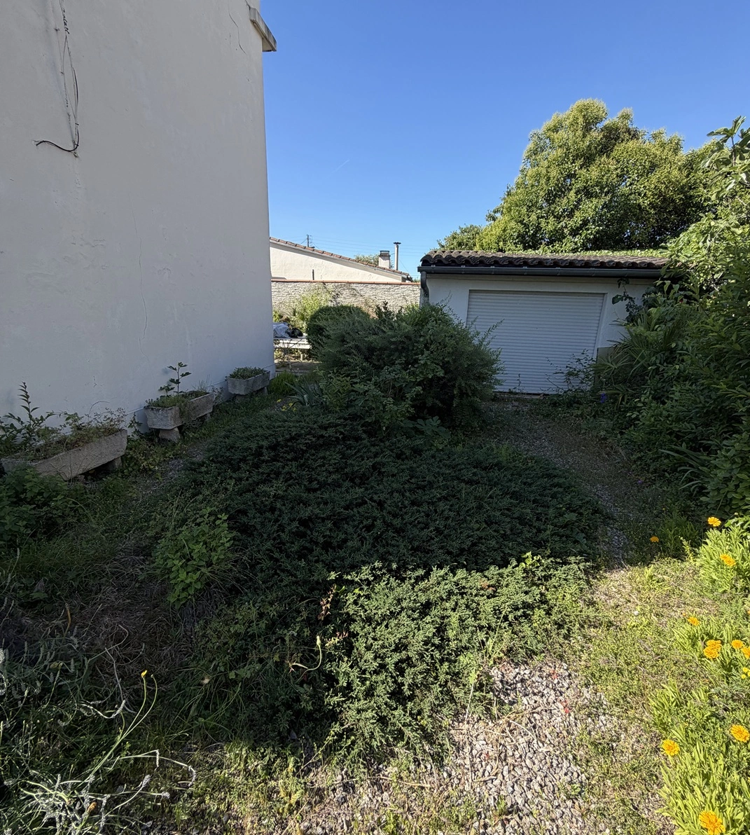 Remise en état jardin ancien - Avant travaux - Omniservici