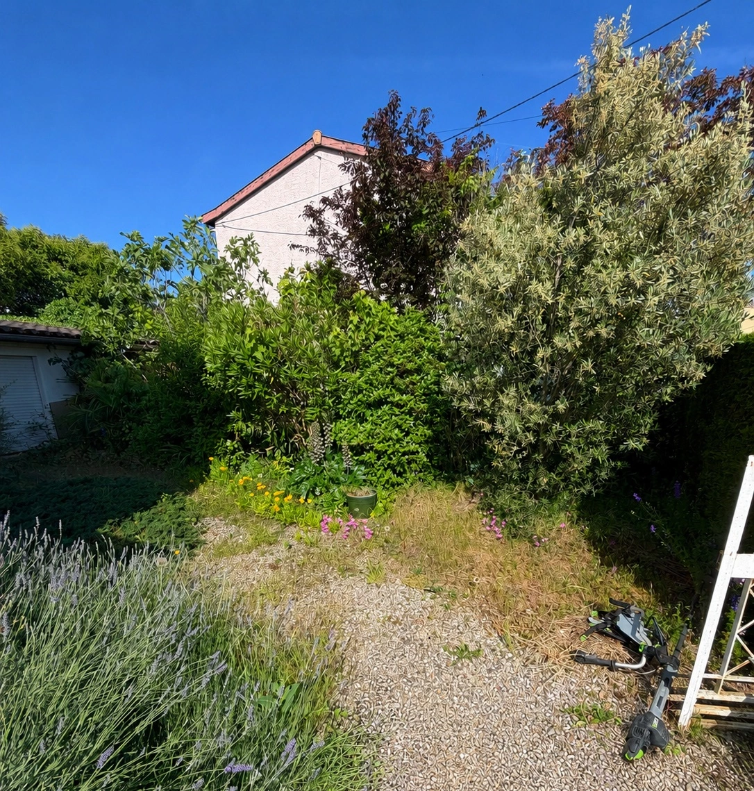 Remise en état d'un jardin toulousain - Après travaux - Omniservici