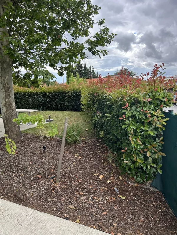 Taille de haie jardin d'un restaurant à Tournefeuille