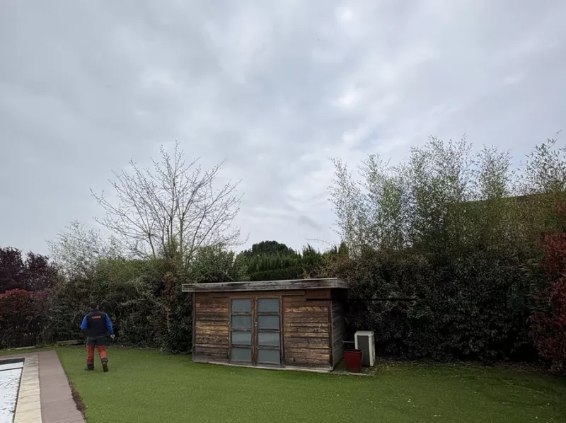 Avant taille de haies jardin à Seilh - OMNISERVICI