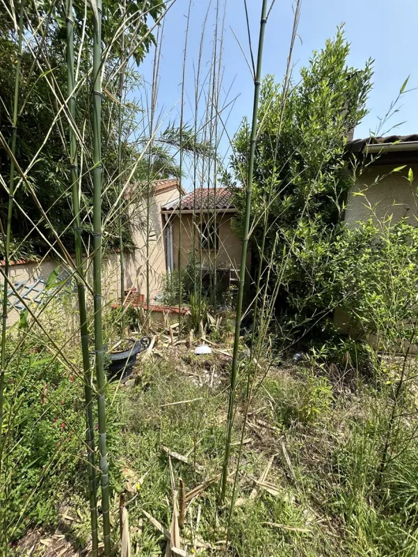 Avant remise au propre jardin à Cugnaux