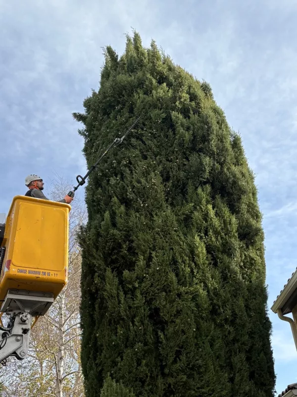 Voir nos réalisations